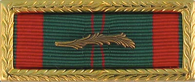 Republic of Vietnam Civil Action 1C Palm Unit Citation