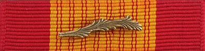 Vietnam Cross of Gallantry with Bronze Palm Ribbon